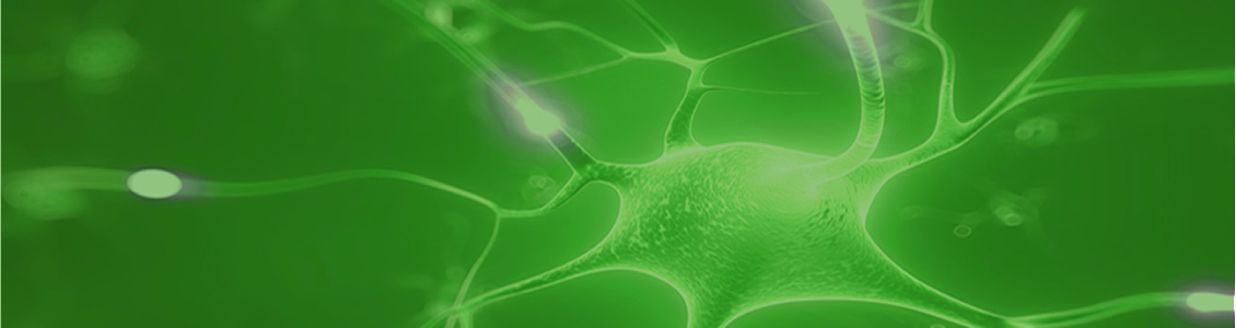 2-master-practitioner en programacion neuro linguistica Grow Institute