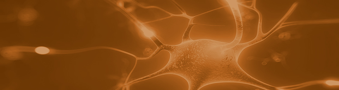 5- curso de trainer con programacion neuro linguistica